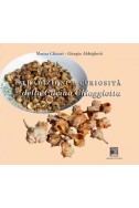 TRADIZIONI E CURIOSITA' DELLA CUCINA CHIOGGIOTTA